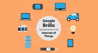 來看看高大上的brillo物聯(lián)網(wǎng)操作系統(tǒng)
